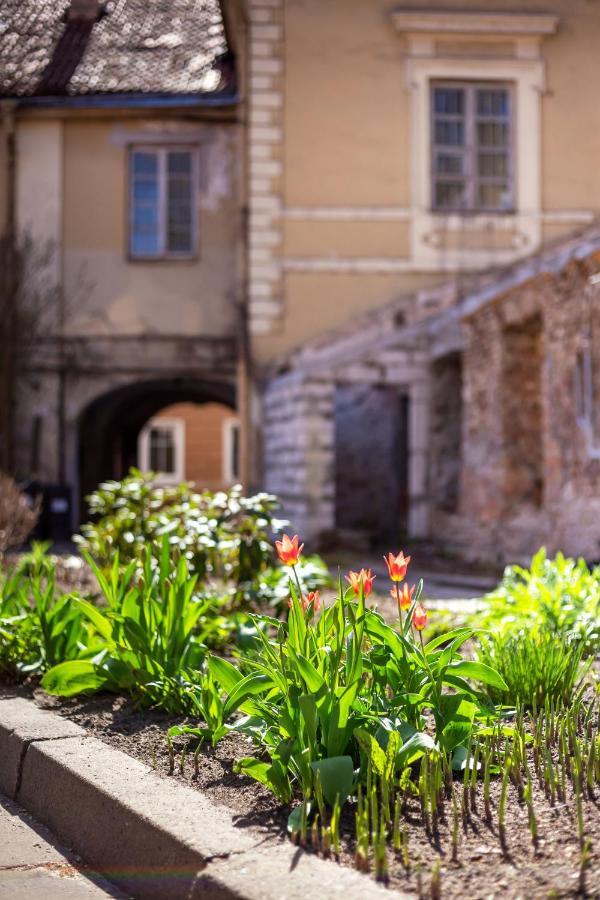 #Stayhere - Historic Vilnius Old Town Chic Studio Extérieur photo