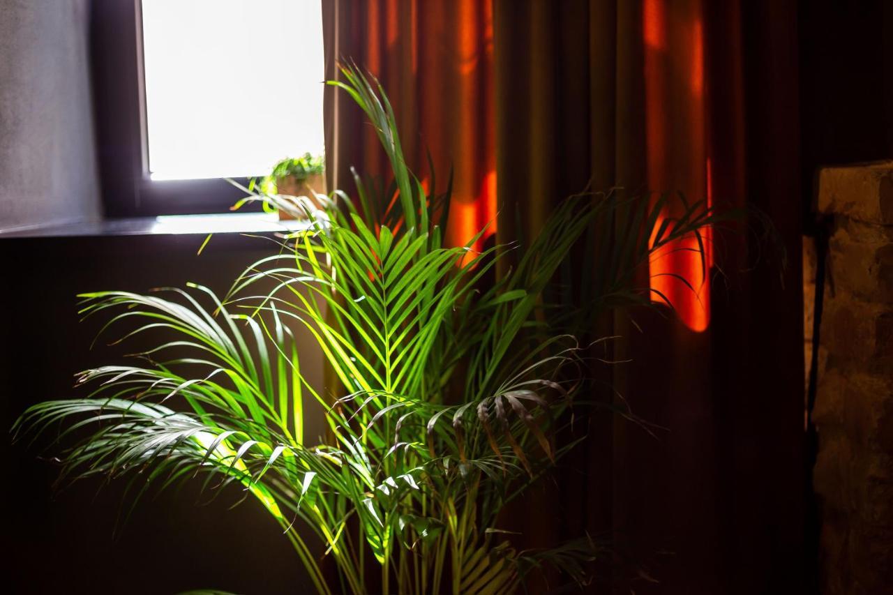 #Stayhere - Historic Vilnius Old Town Chic Studio Extérieur photo